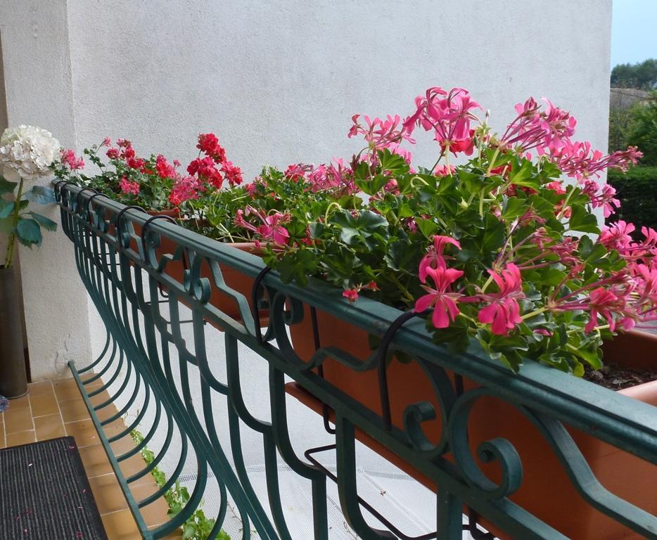 Villa Manon Mouans-Sartoux Ngoại thất bức ảnh