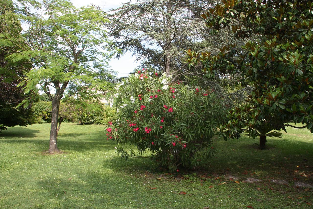Villa Manon Mouans-Sartoux Ngoại thất bức ảnh