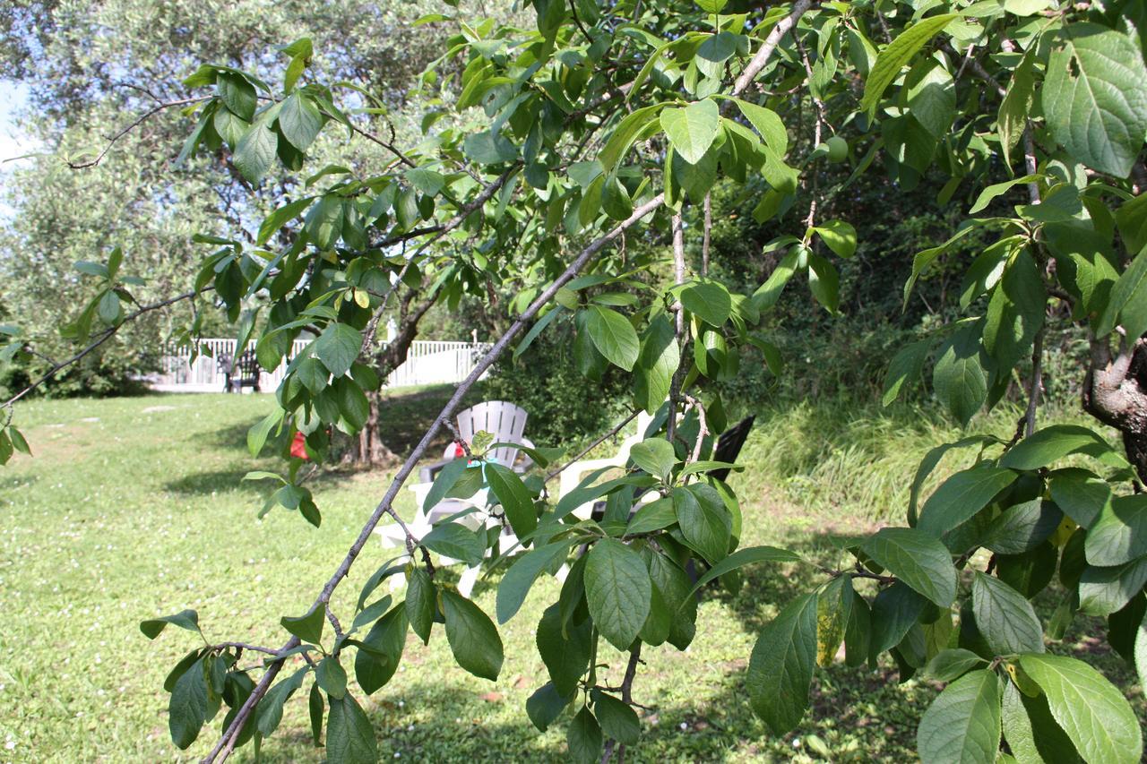Villa Manon Mouans-Sartoux Ngoại thất bức ảnh